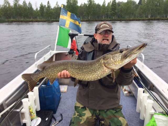 A-sportfishing-guest-from-France-with-a-pike-of-115-cm-catched-at-Villa-Solsidan-in-august-2017.jpg